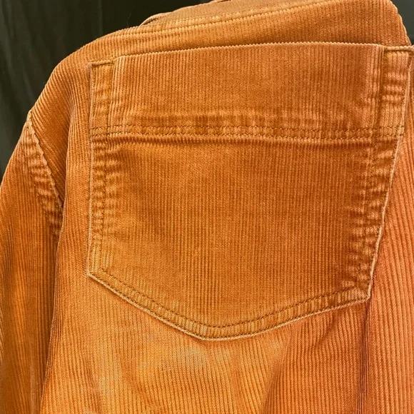 Patagonia Common Threads Partnership Orange Organic Cotton Corduroy Pants - Picture 6 of 7